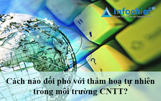 Cách nào đối phó với thảm hoạ tự nhiên trong môi trường CNTT?